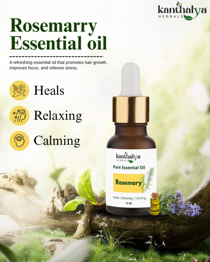 🌿 Kanthalya Herbals Rosemary Essential Oil – 15ml - Image 2